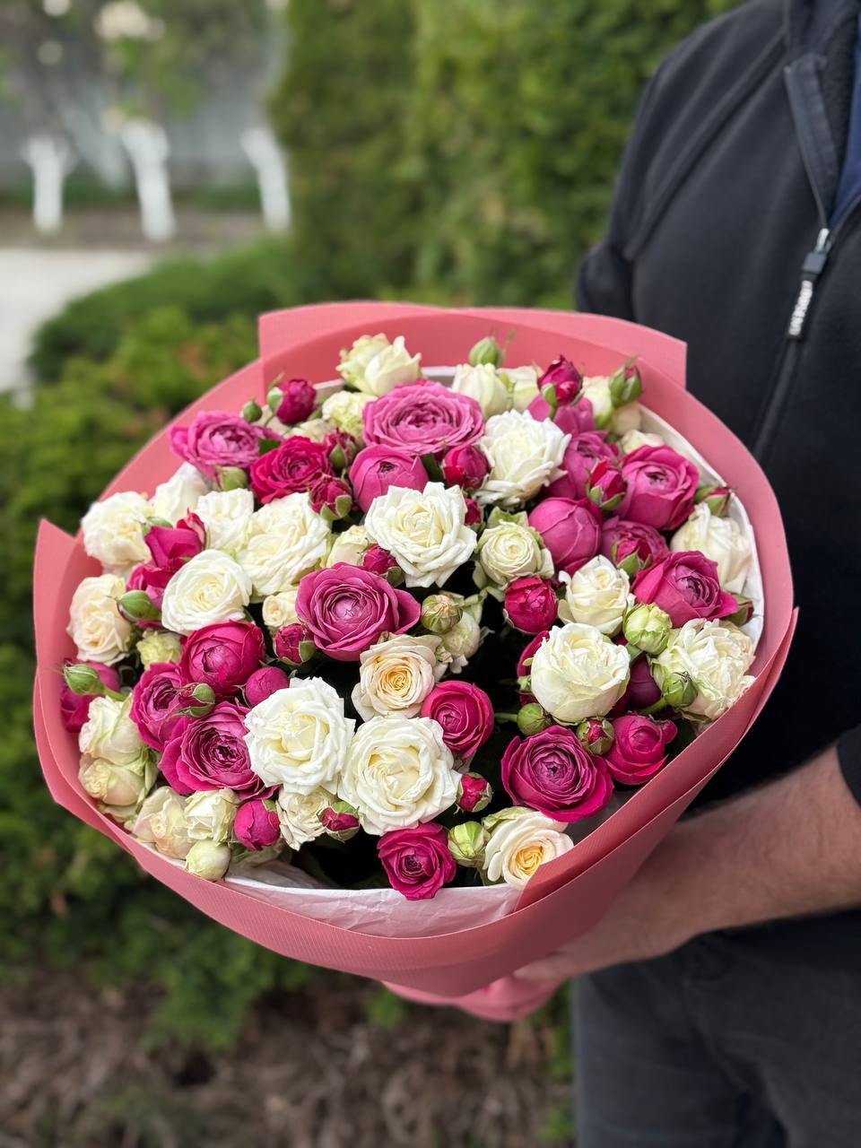 39 róż odmiany Prince Bombastic i Majestic