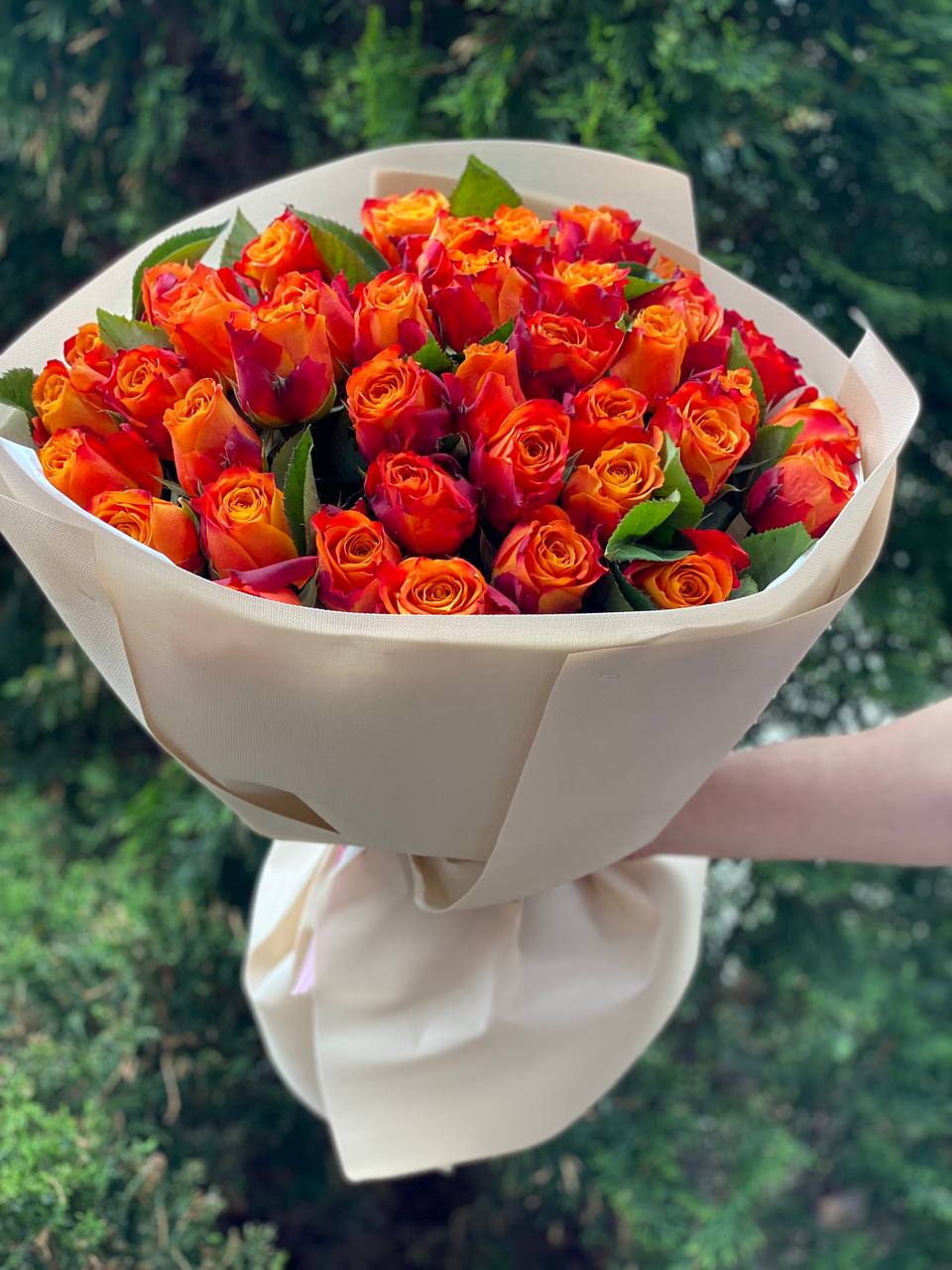 39 оранжевых роз сорта «Холландия»