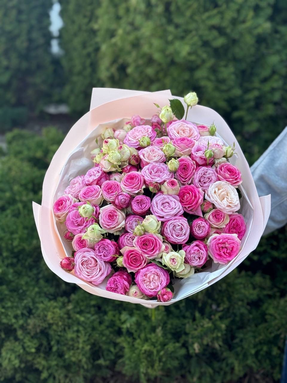 39 роз — джелато и леди бомбастик