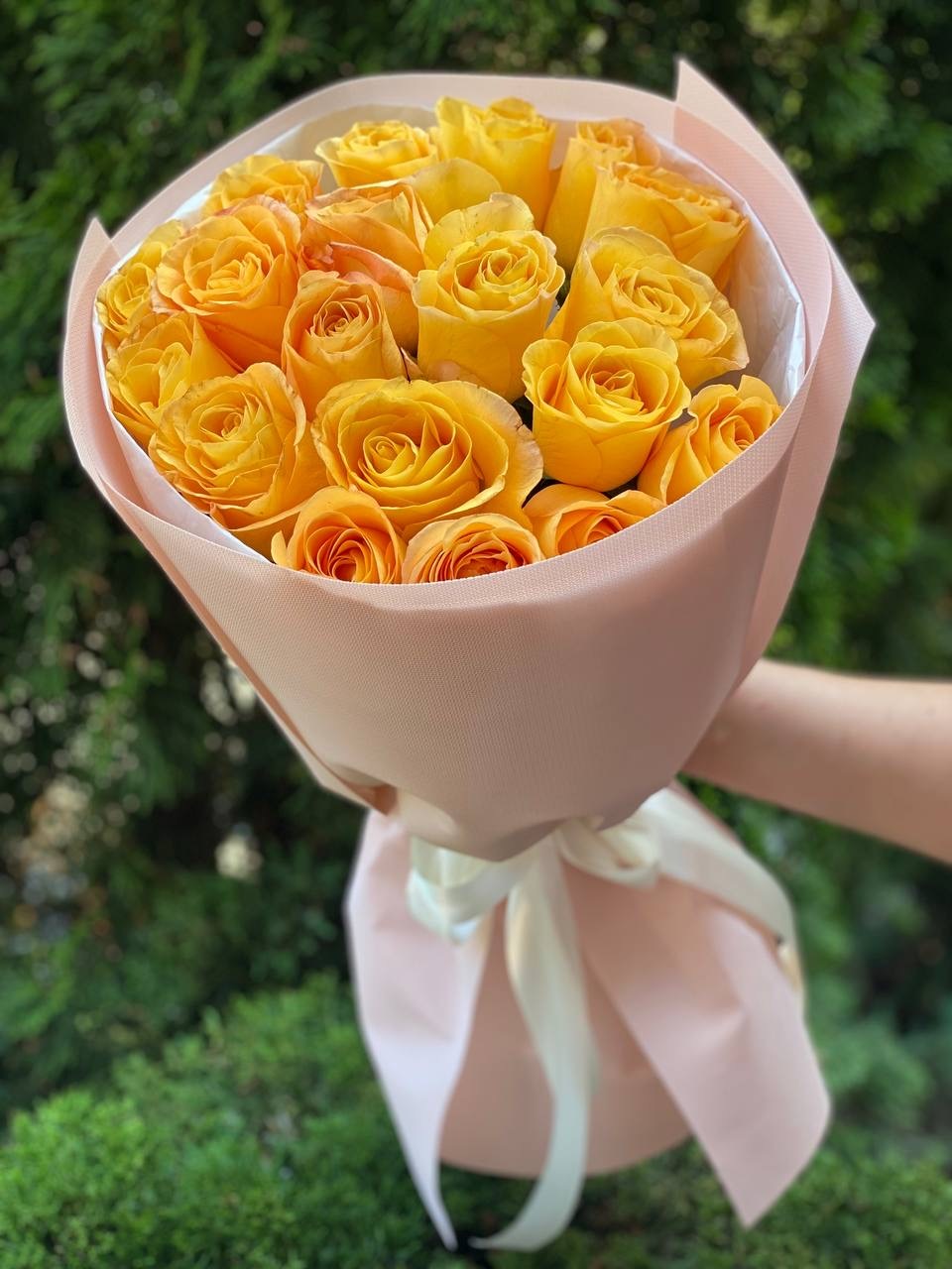 19 Rosen Sorte Penny Lane