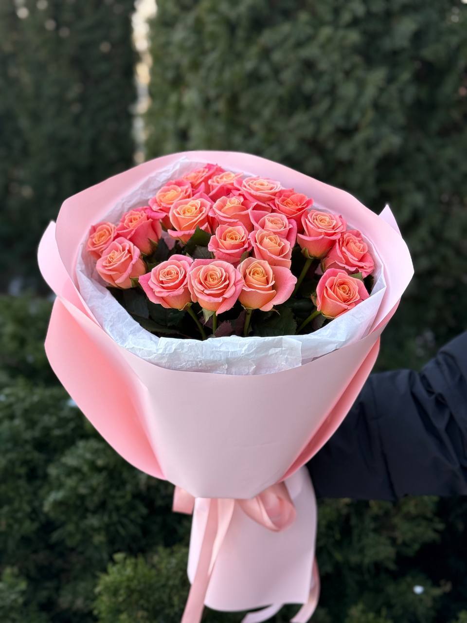 19 Rosen Sorte Miss Piggy