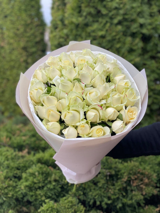 39 роз сорта «Аваланж»