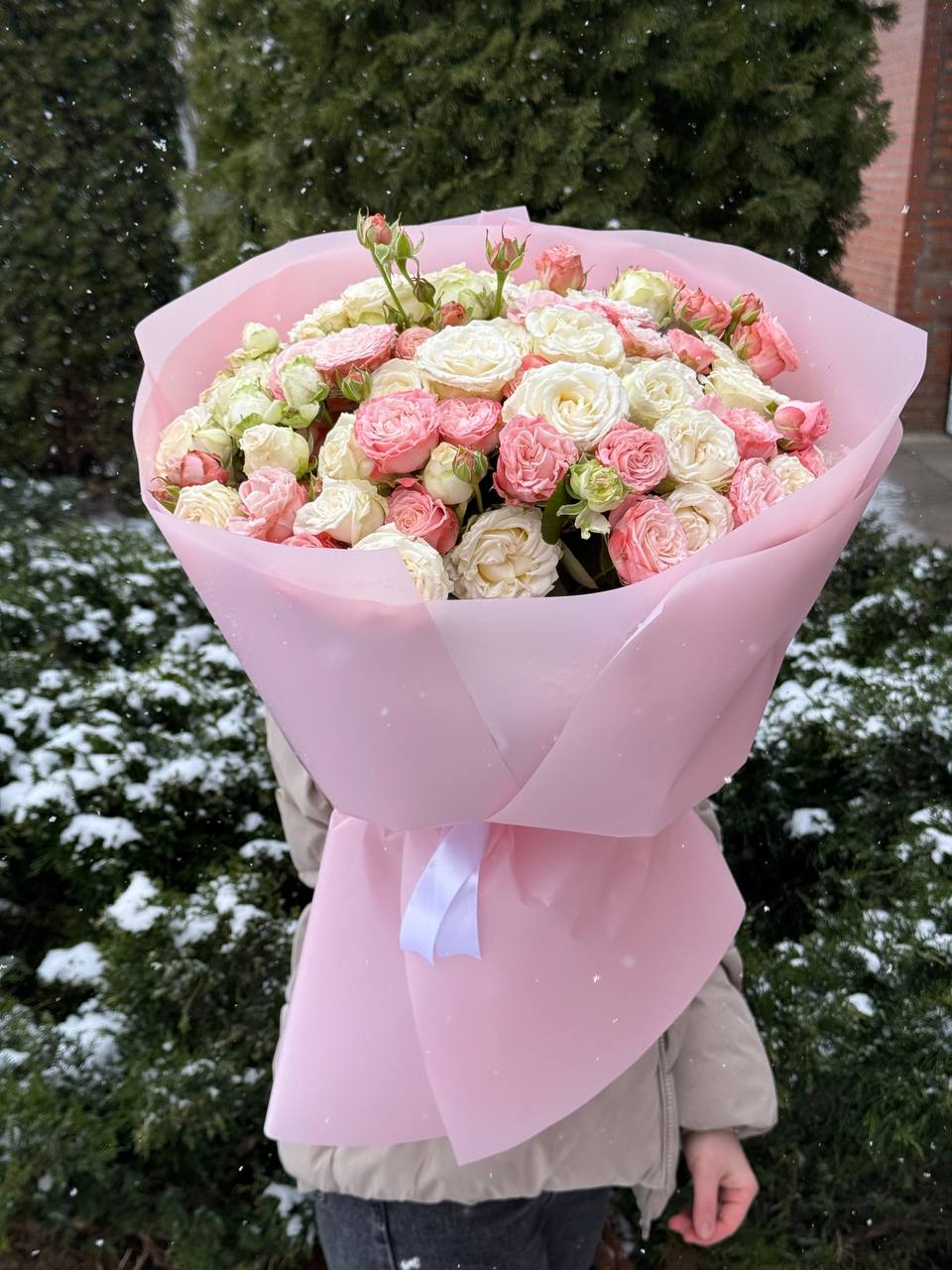 39 róż — Prince Bombastic i Bombastic