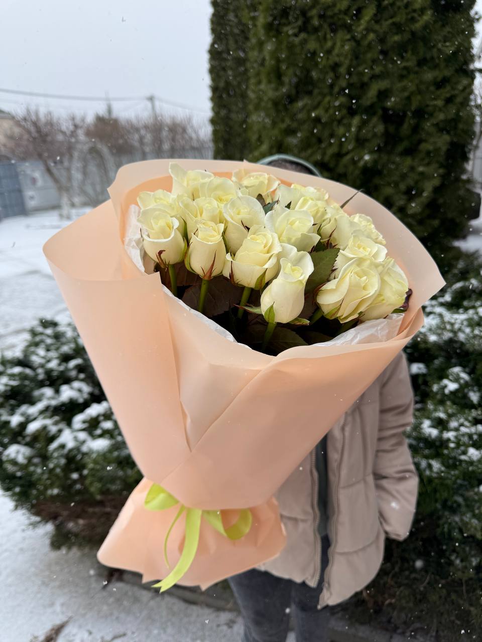 39 троянд сорт Білуга
