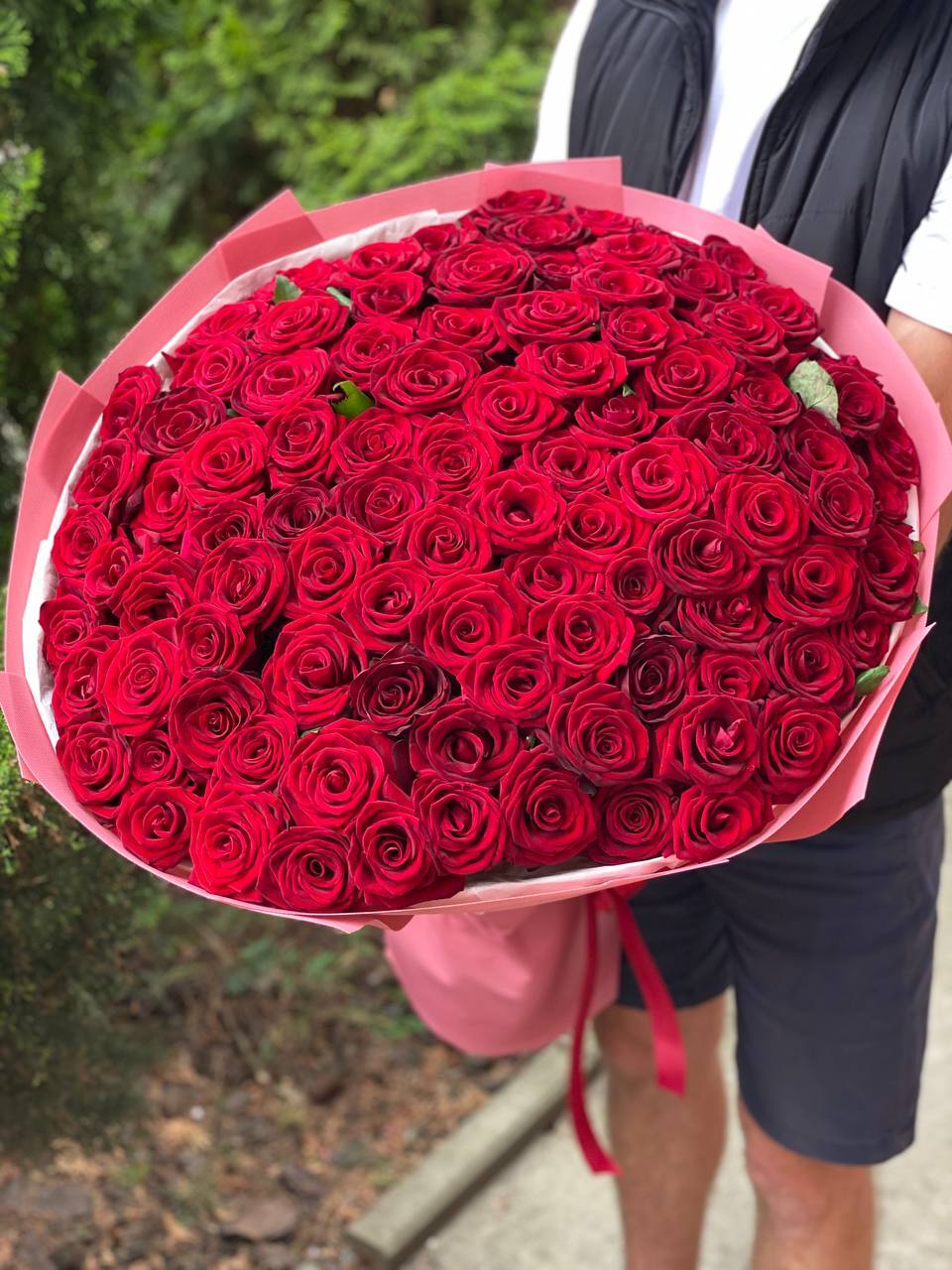 101 Rosen der Sorte Red Eagle
