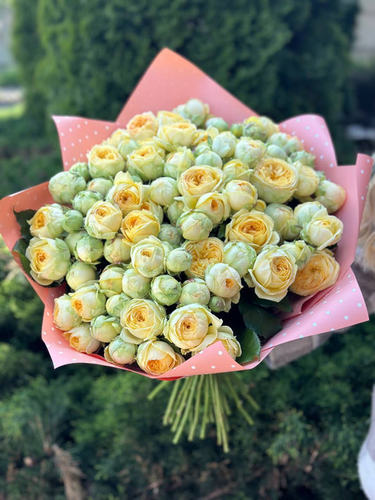 39 веток роз сорта Пиони