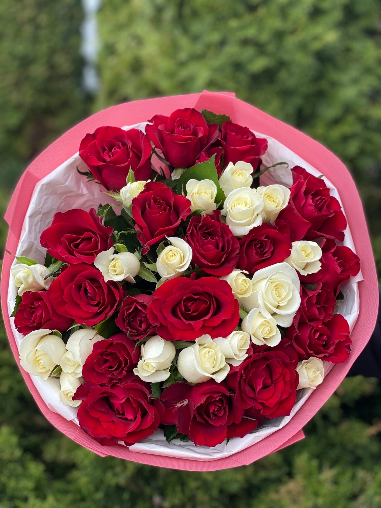 39 роз - Белуга и Ред Игл