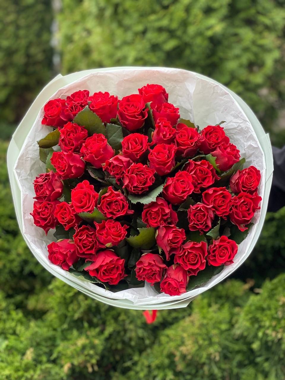 39 роз Эль Торо