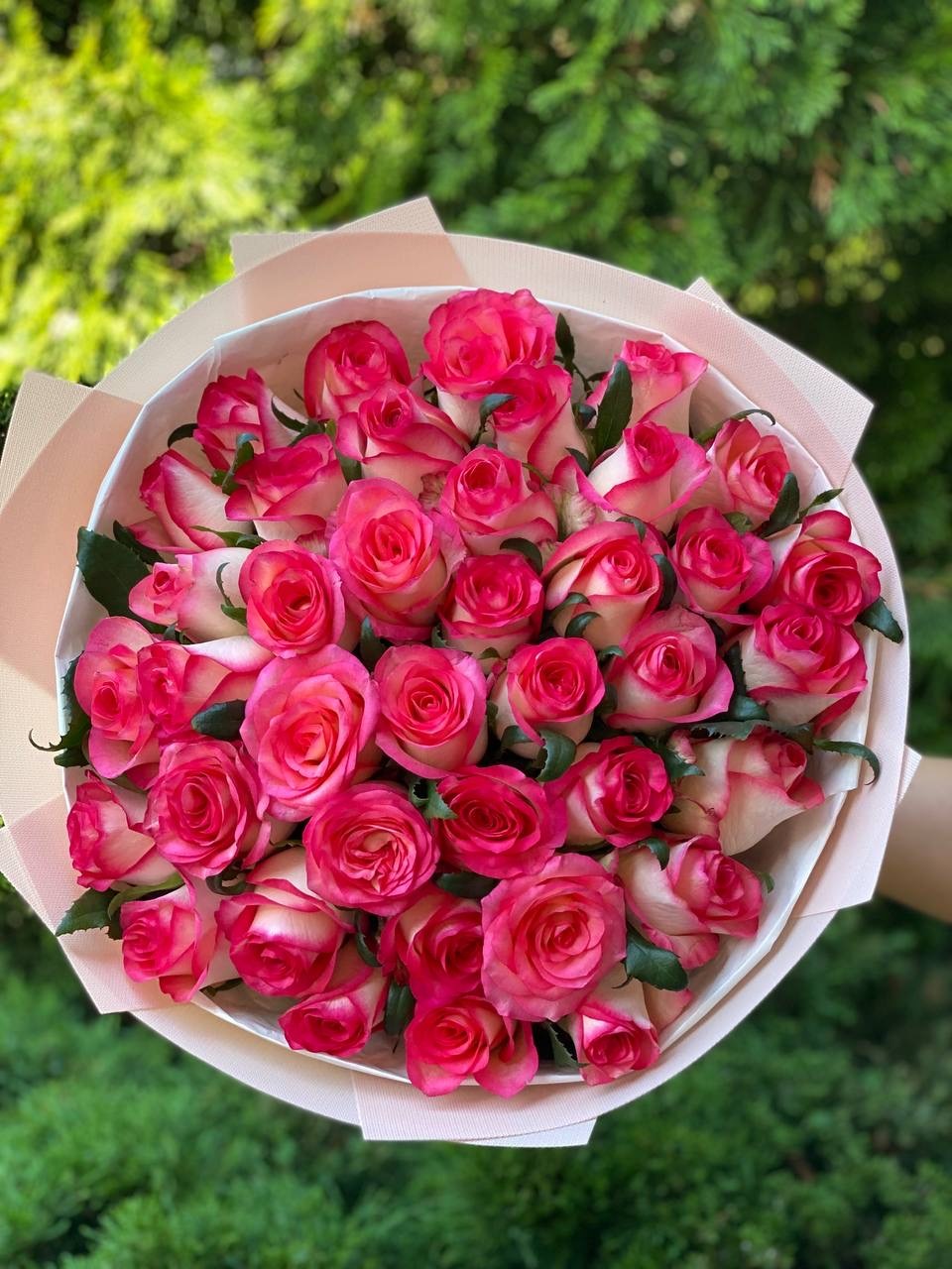 39 роз Джумилия