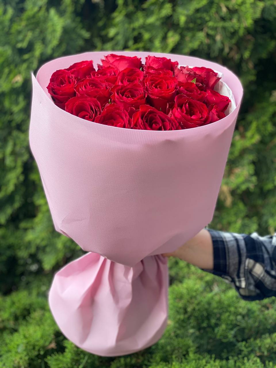 19 Rosen Sorte Prestige