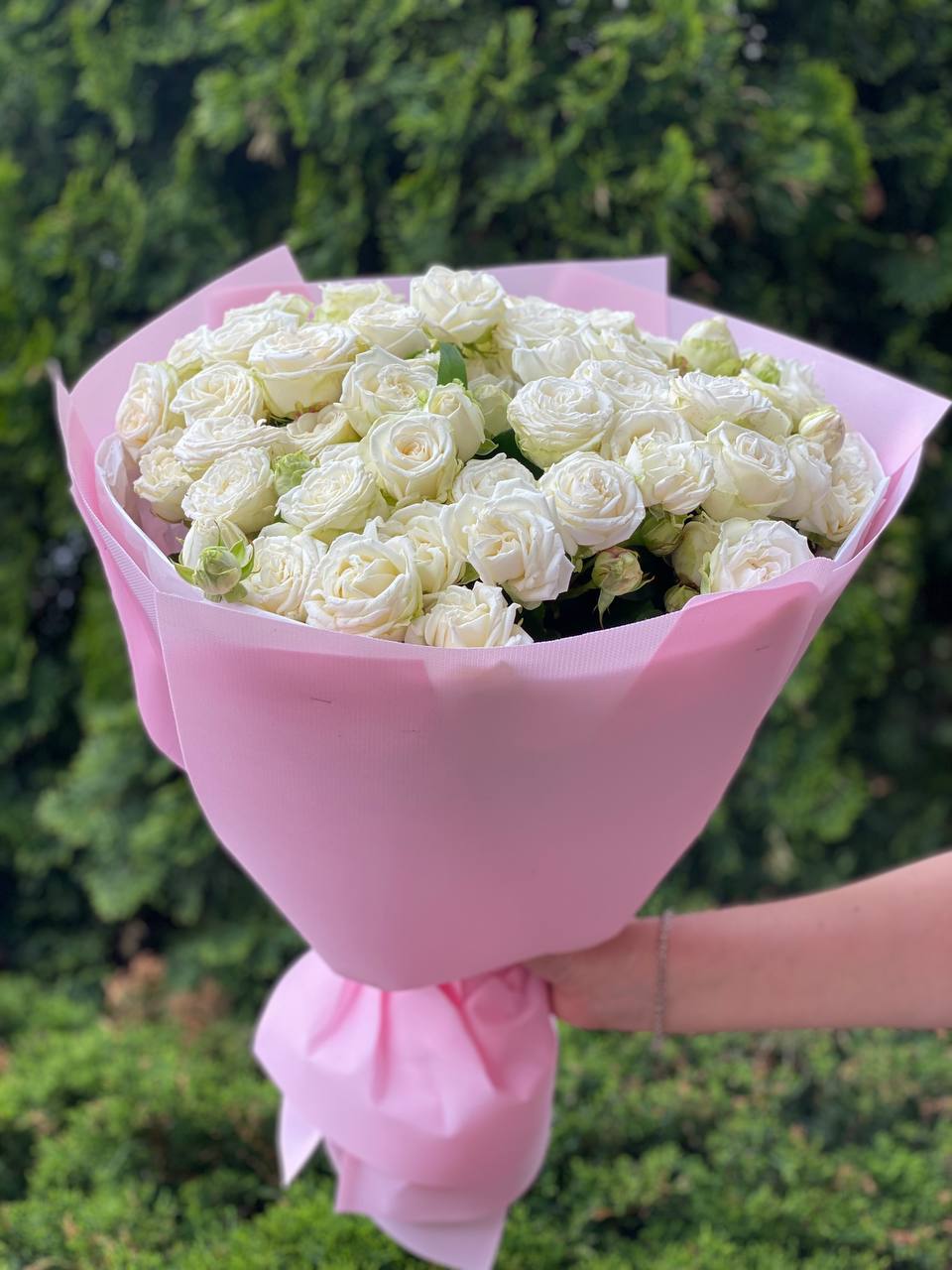 39 Strauß-Pfingstrosenrosen Sorte Miss Bombastic