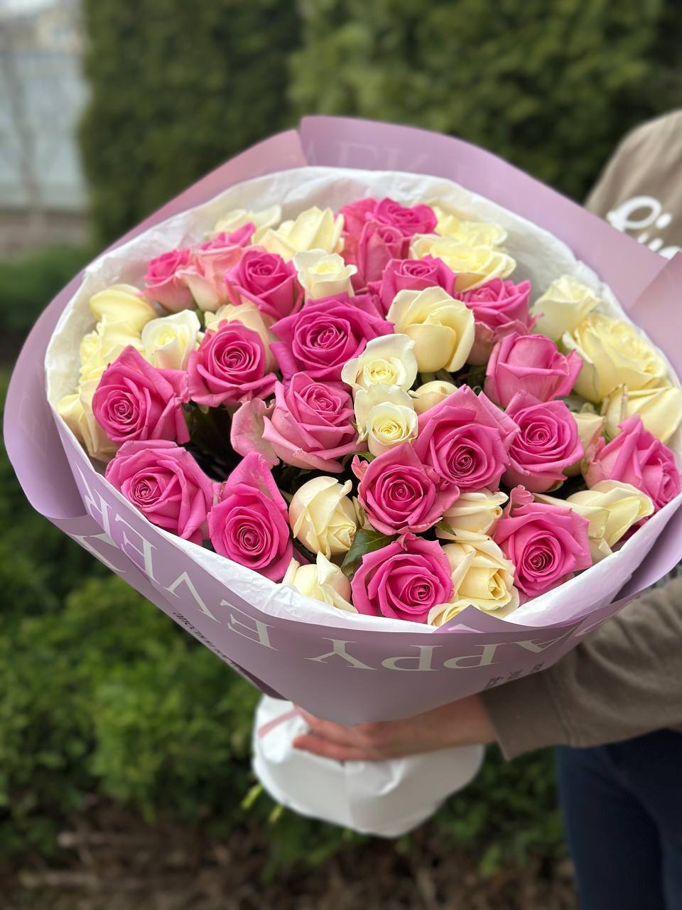 39 роз сортов Белуга и Аква