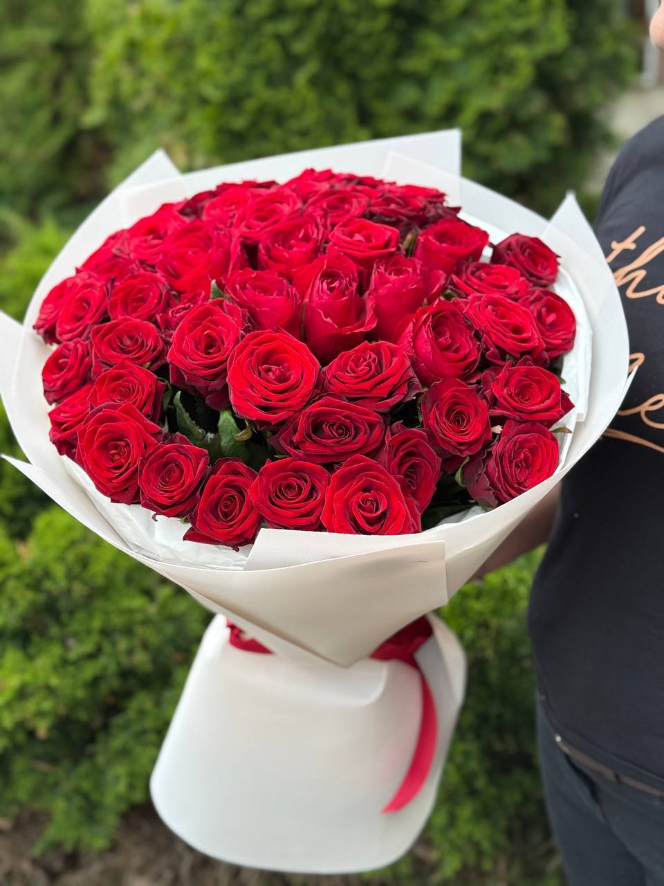 51 Rosen der Sorte Red Naomi
