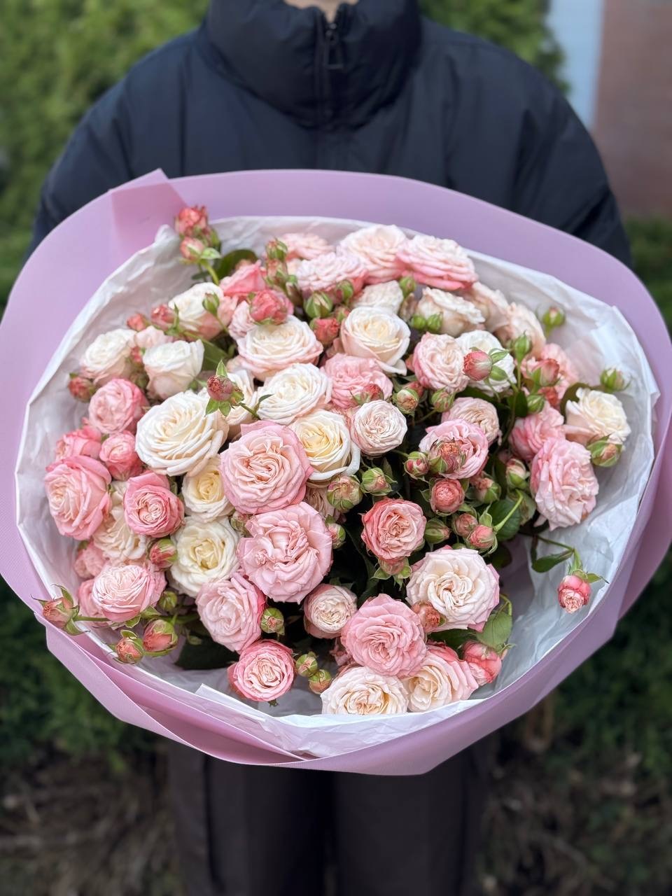 19 pfingstrosenähnliche Rosen Sorte Bombastic