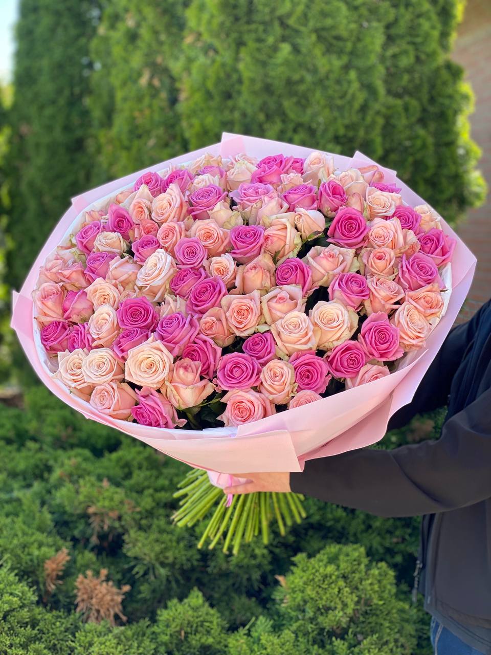 101 Rosen Sorte Kimberly und Aqua
