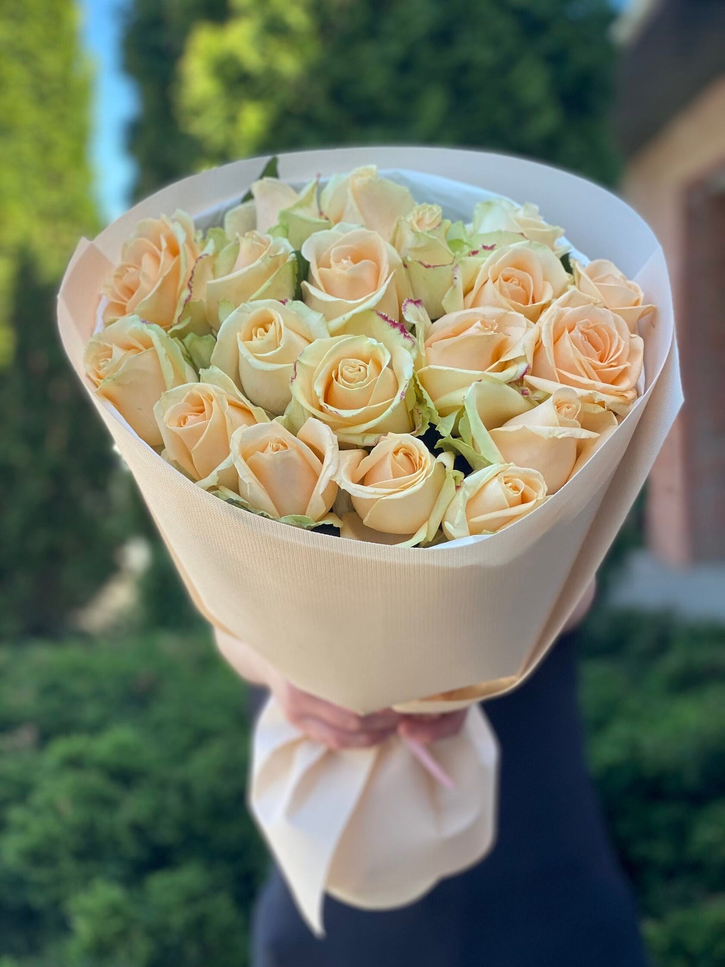 19 роз сорта «Персиковая Аваланж»