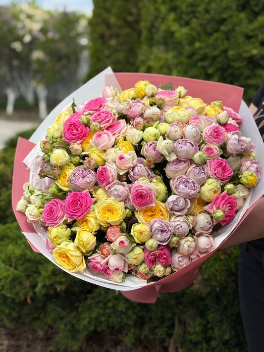 51 пионоподібна троянд (Лавандові, Джелато, Піоні)