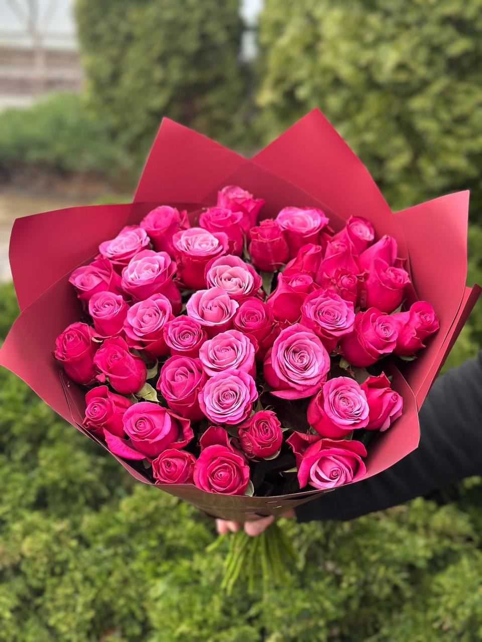 39 роз Принц Персия