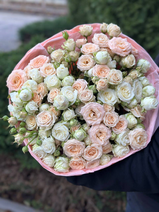 39 роз сорта «Мисс Бомбастик» и «Бомбастик»