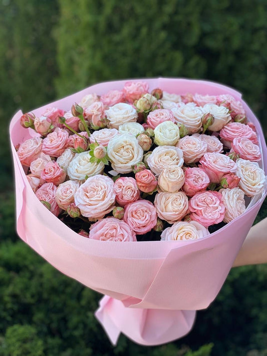 39 роз — Принц Бомбастик и Бомбастик