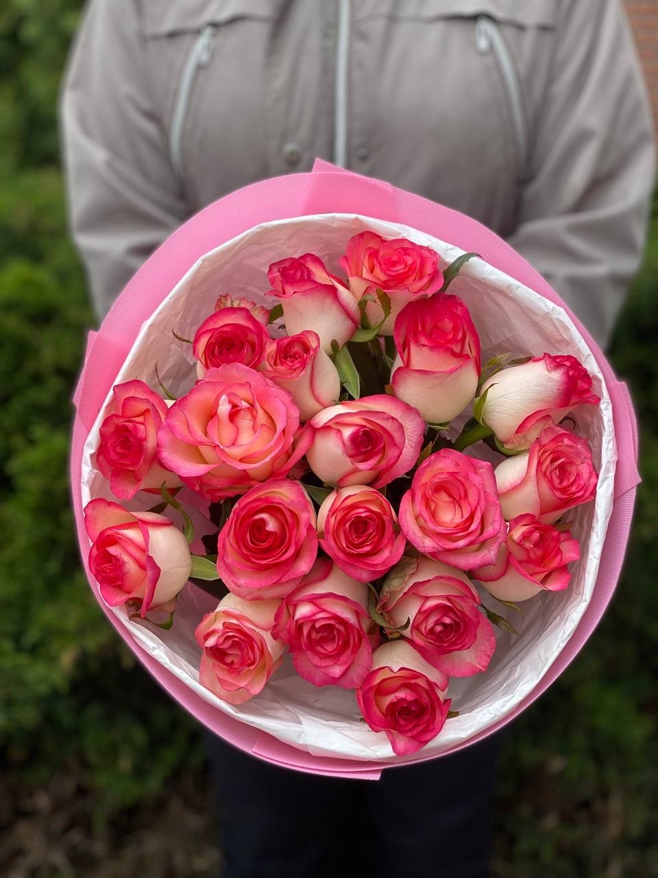 19 Rosen Sorte Jumilia