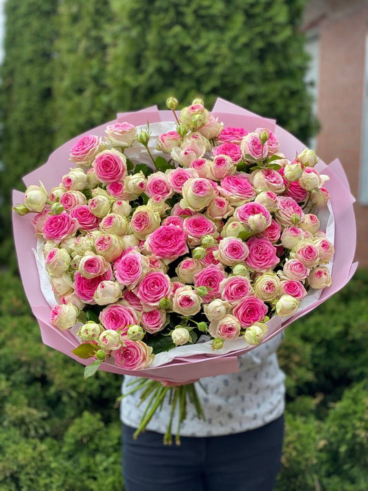 39 пионовидных роз сорта «Джелато»