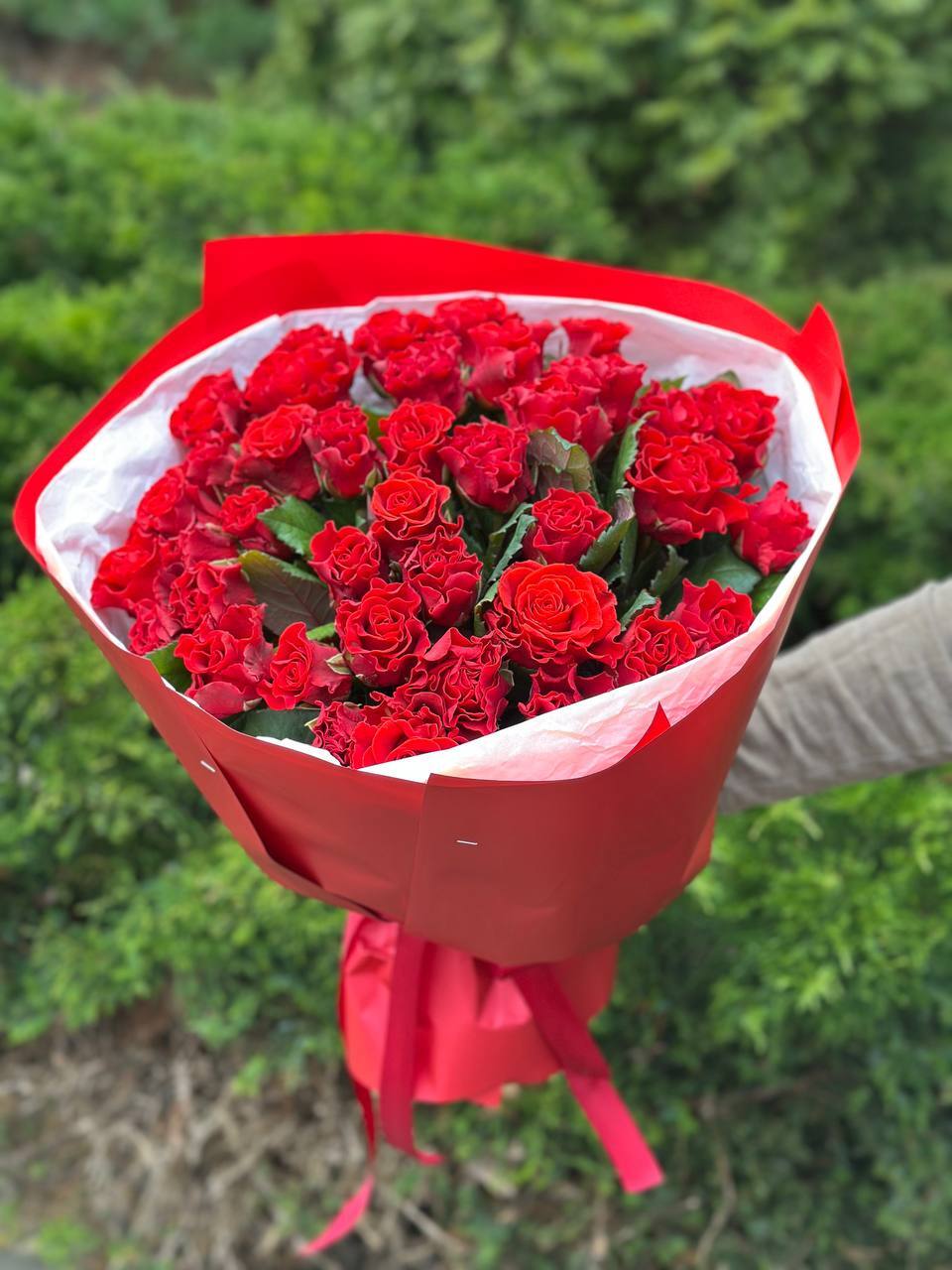 39 роз Эль Торо