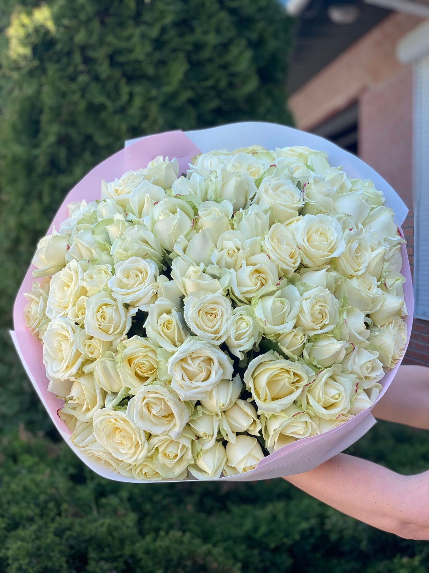 101 Rosen Sorte Avalanche