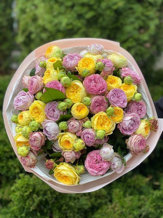 39 роз сортов Лаванда и Пиони