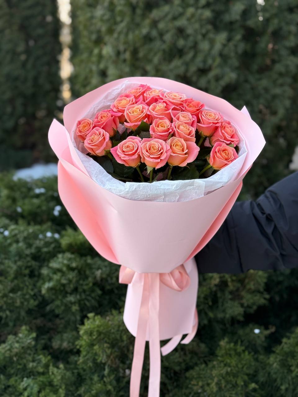 19 Rosen Sorte Miss Piggy
