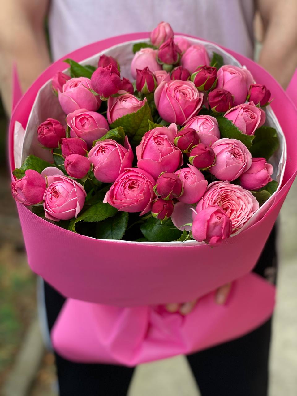 19 verzweigte pfingstrosenähnliche Rosen Sorte Lavenderlace Light