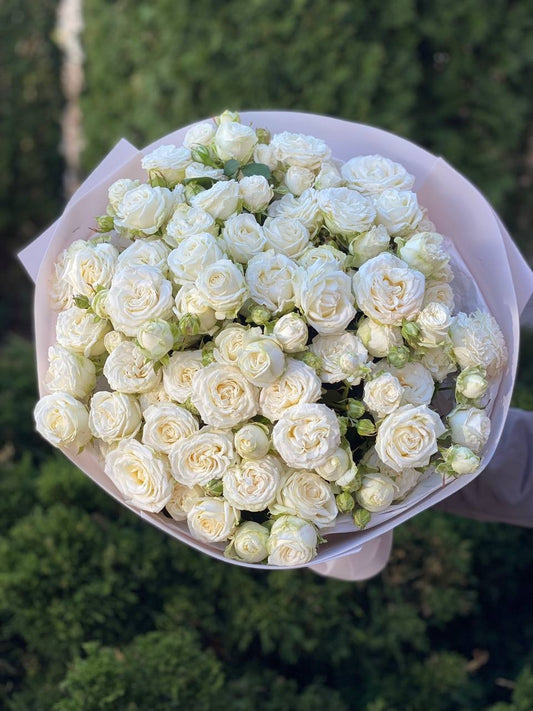 51 пионоподобный троянд сорта Міс Бомбастік