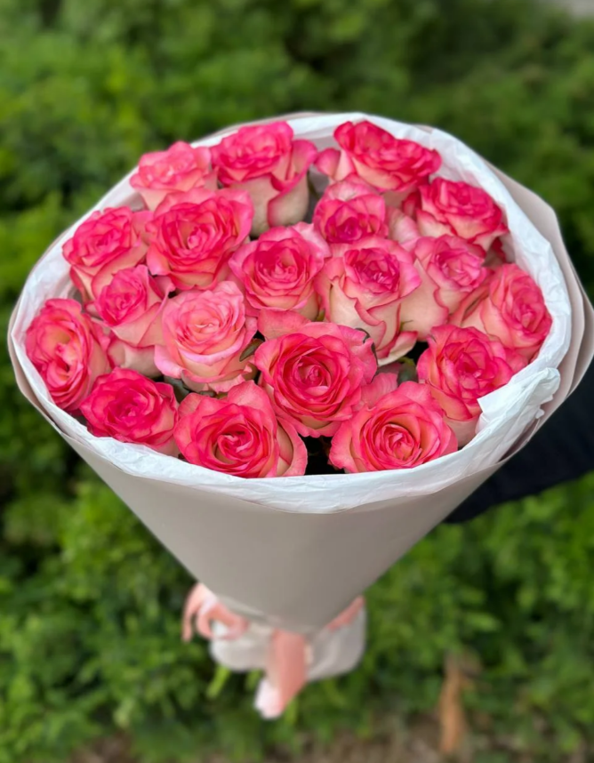 19 Rosen Sorte Jumilia