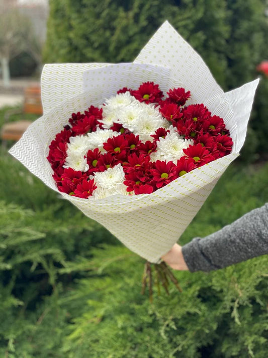 9 ромашкоподобных хризантем (колир белых та червоний)