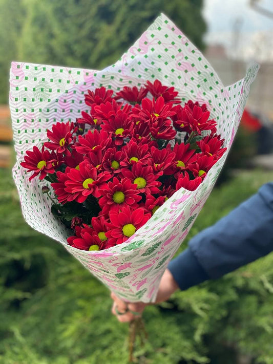 5 ромашкоподобных хризантемов (цвет червоний)