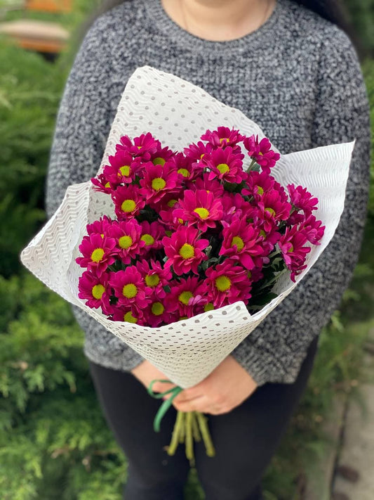 5 розовых хризантем (колір фиолетовий)