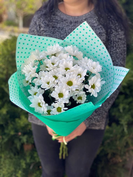 5 ромашкоподобных хризантем (колір белый)