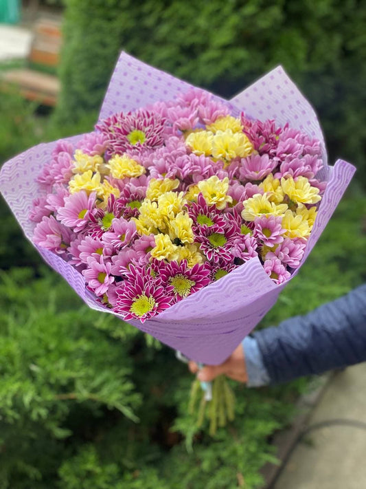 19 хризантем (жовтий, рожевий та фиолетовий)