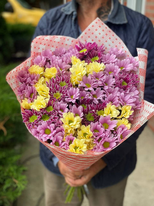 9 ромашкоподобных хризантем (цвет рожевий, желтый, фиолетовый)