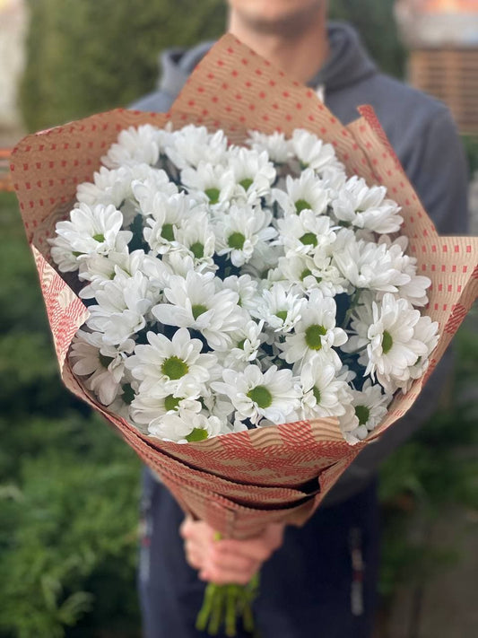 5 ромашковидных хризантемов (белый колір)