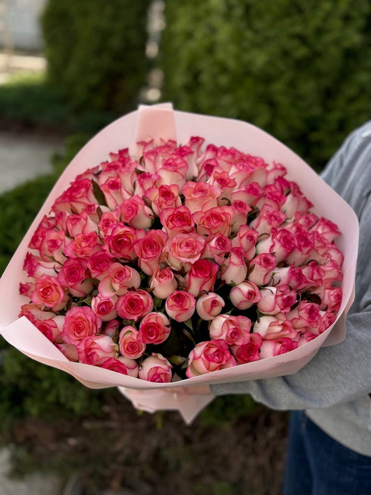 101 Rosen Sorte Jumilia