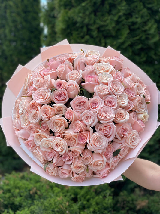 101 Rosen Sorte Kimberly
