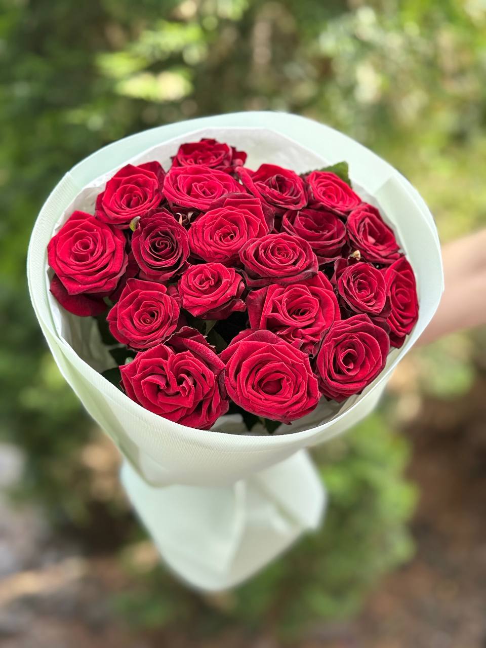 19 Rosen Sorte Grand Prix