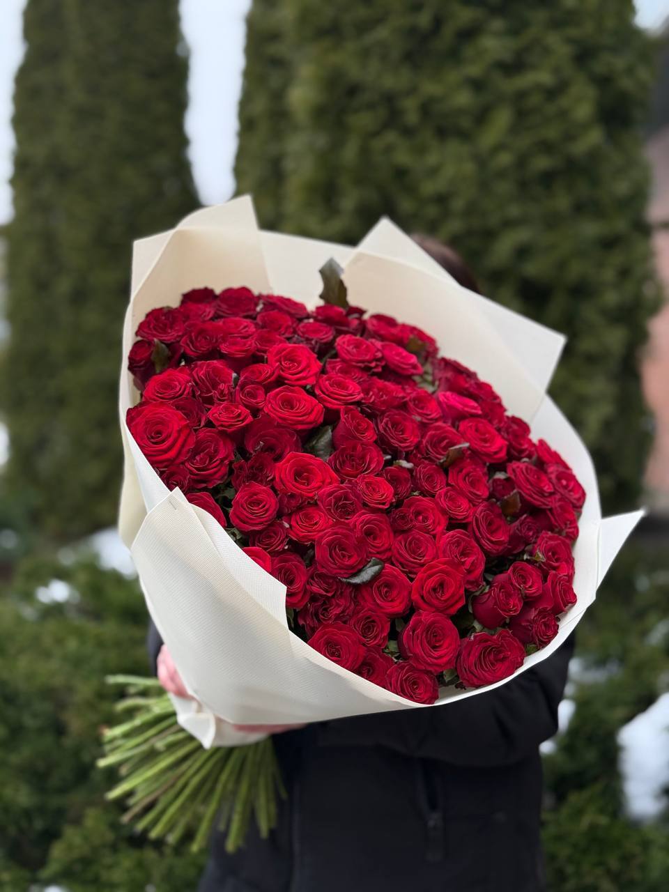 101 Rosen Sorte Prestige
