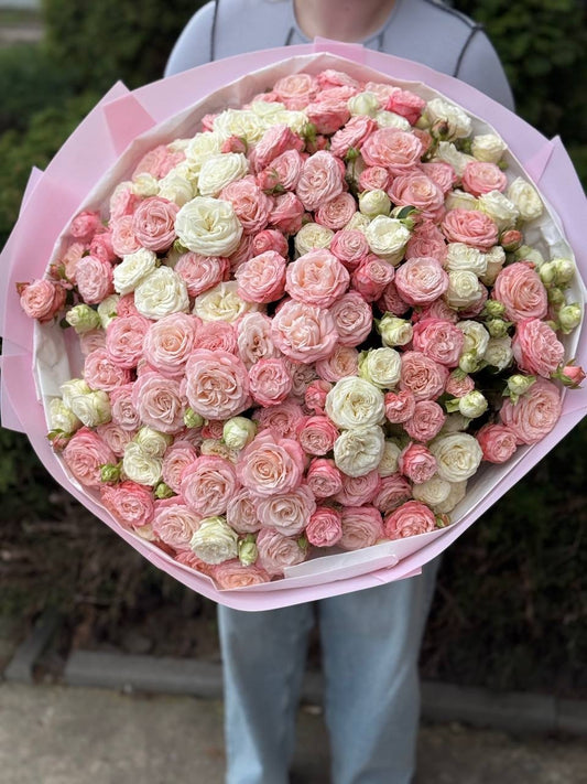 101 Pfingstrosenartige Rosen (Sorten Miss Bombastic und Bombastic)