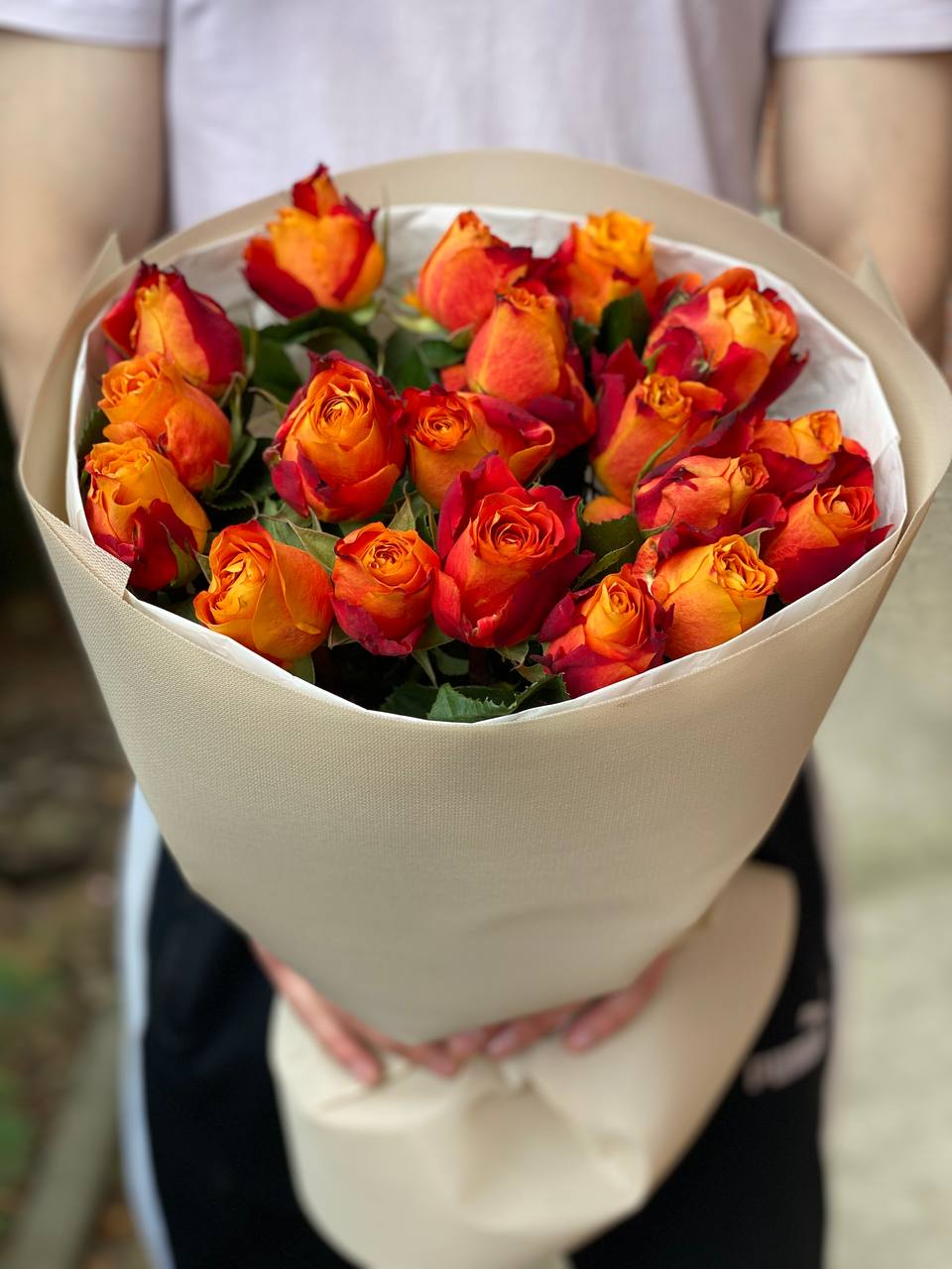 19 Rosen Sorte Holland Orange