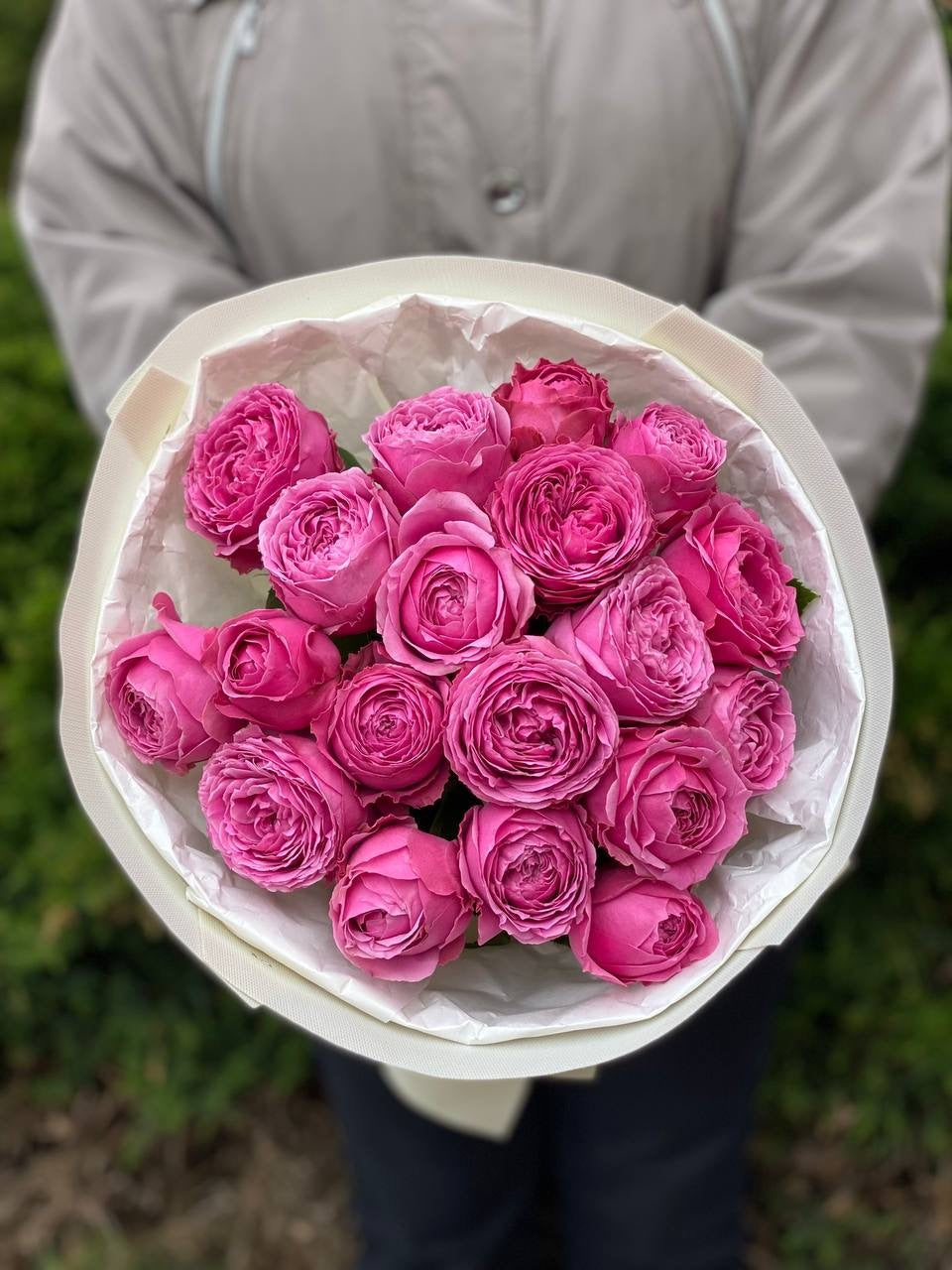 19 verzweigte pfingstrosenähnliche Rosen Sorte Lavenderlace