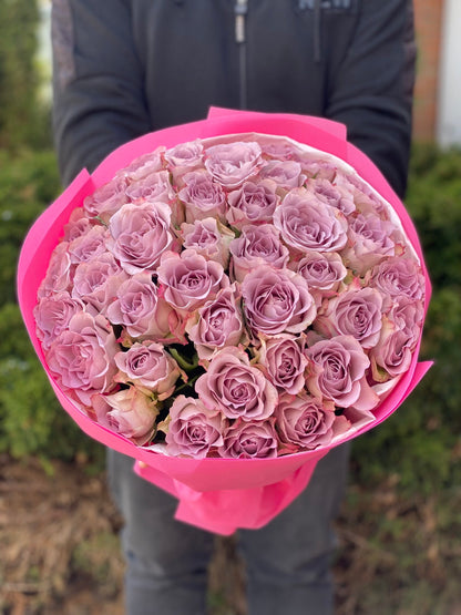 39 Roses Variety Purple Holland