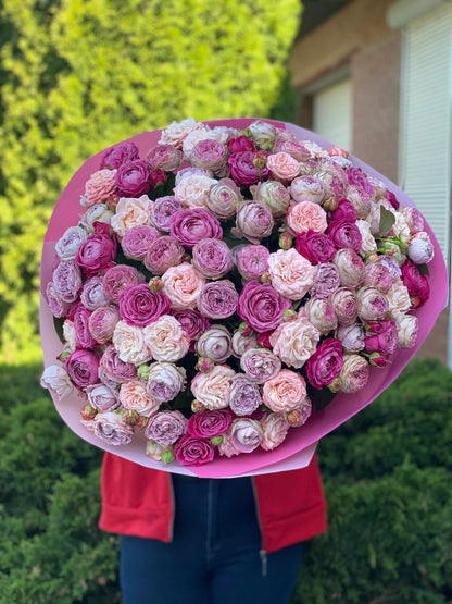 101 Pfingstrosenrosen Sorte Majestic, Bombastic und Lavendelfarben
