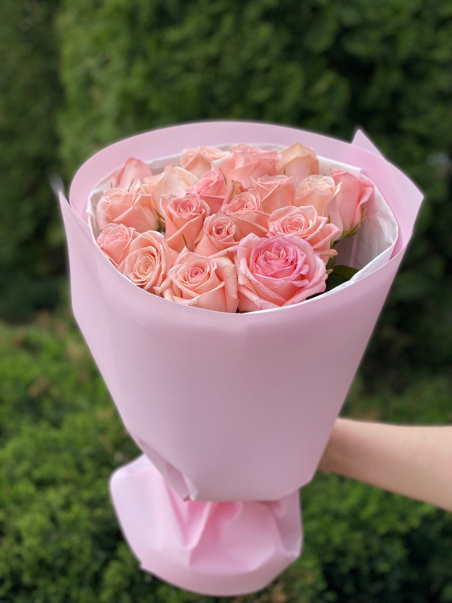 19 Rosen Sorte Kimberly